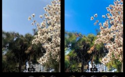 iPhone Xs Max拍照技术强在哪？