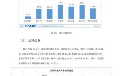 中国互联网络发展状况如何？