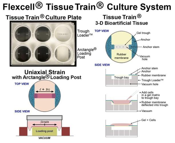 FlexIO技术与Freescale有何关联？-图1