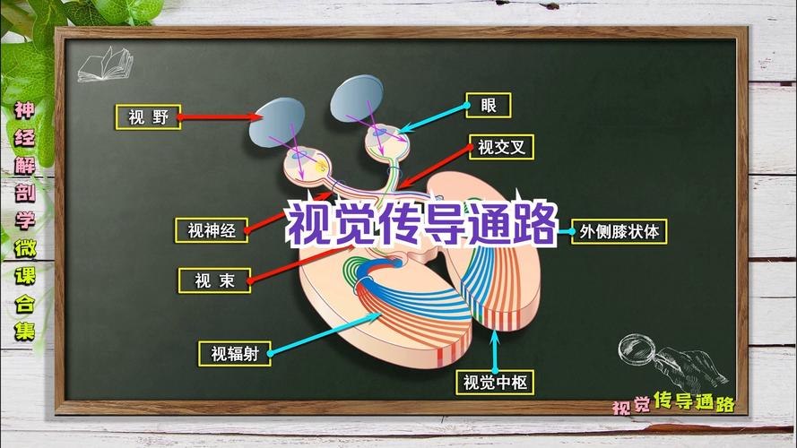 Snap视觉跟踪技术如何实现精准实时跟随？-图1