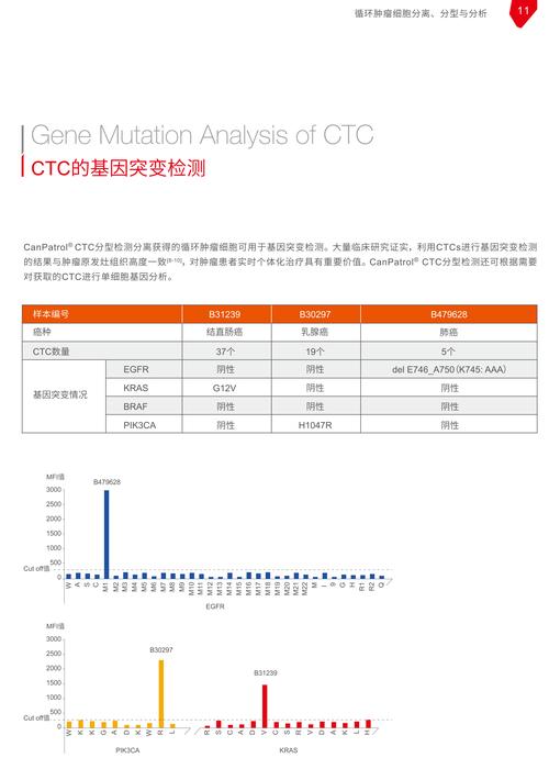 CTC hctbert c技术文档核心原理是什么？-图1