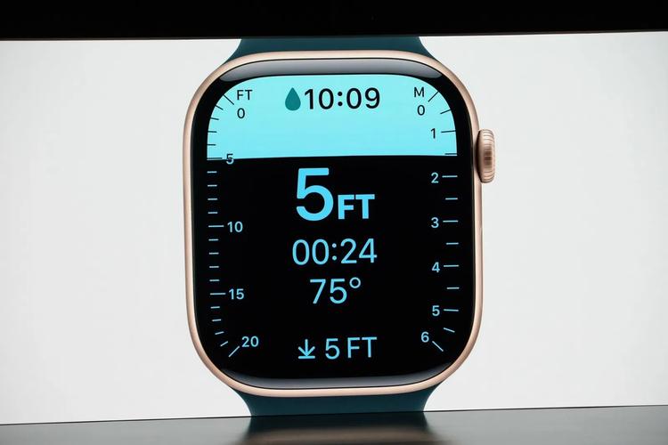 Apple Watch卡路里计算技术到底准不准？-图2