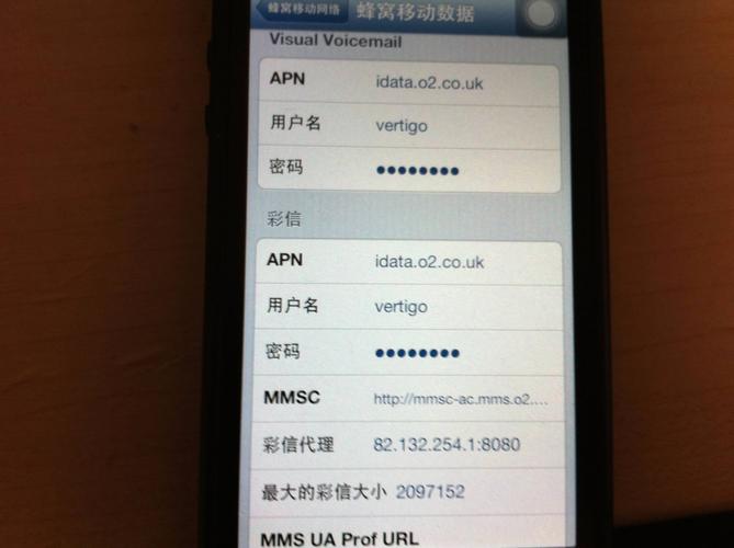 iphone5s蜂窝移动数据网络-图2