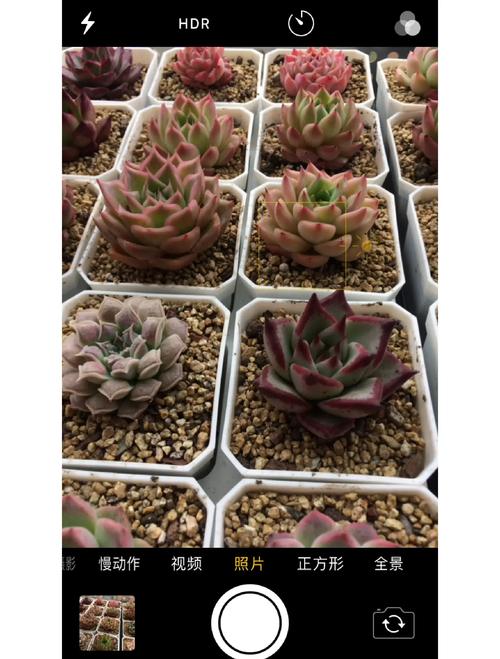 iphone5s2g网络能变4g-图1