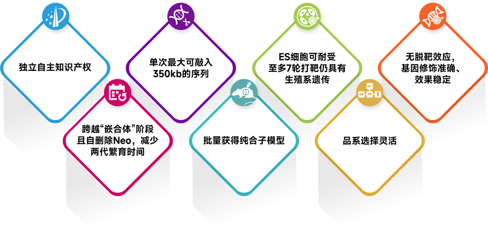 Enhanced Turbo技术如何提升性能？-图2