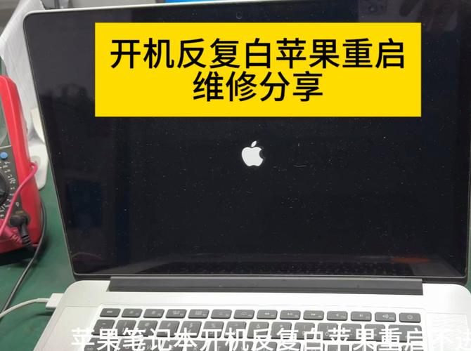MacBook Pro重启网络后仍连不上怎么办？-图2