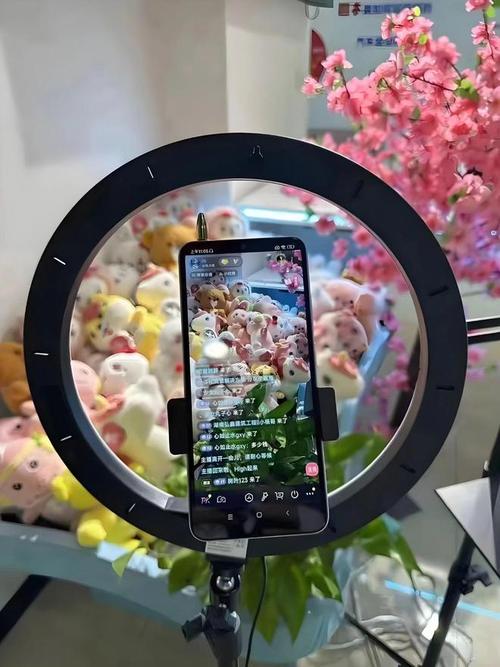 无人机直播视频magnet是什么？-图2