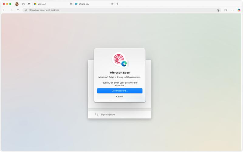 Microsoft网络客户端是什么?-图2 Microsoft网络客户端是什么?-图2