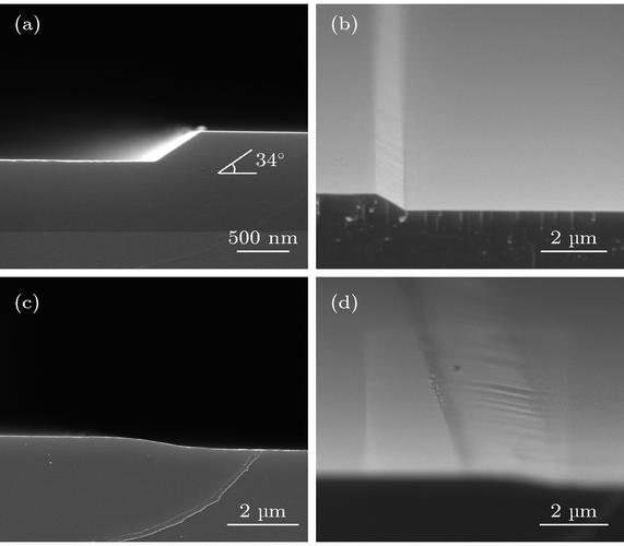 Ad技术门槛高,普通人如何突破?-图1 Ad技术门槛高,普通人如何突破?-图1
