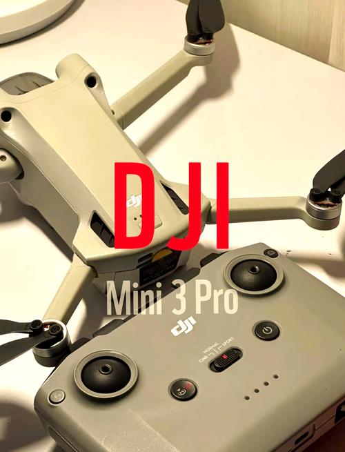 大疆Mini App如何操控无人机?-图2 大疆Mini App如何操控无人机?-图2