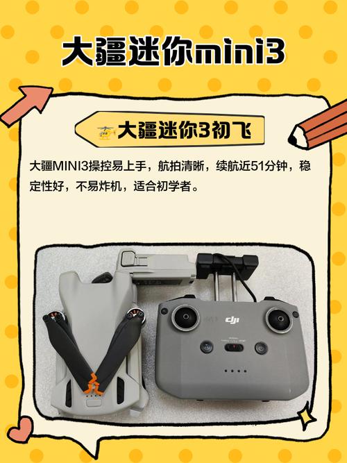 大疆Mini App如何操控无人机?-图1 大疆Mini App如何操控无人机?-图1