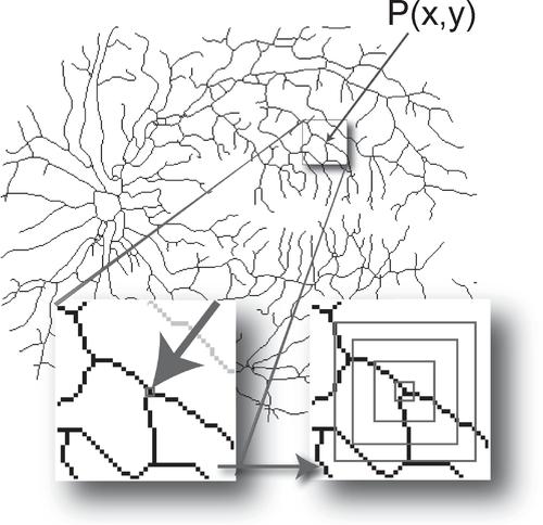 Chatroulette技术如何实现随机匹配与视频交互?-图2 Chatroulette技术如何实现随机匹配与视频交互?-图2