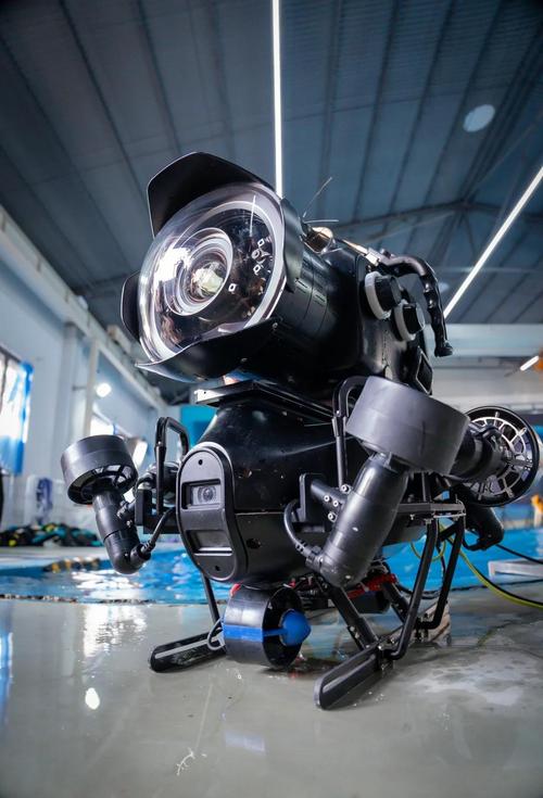 biki水下无人机拍到了什么水下画面?-图3 biki水下无人机拍到了什么水下画面?-图3