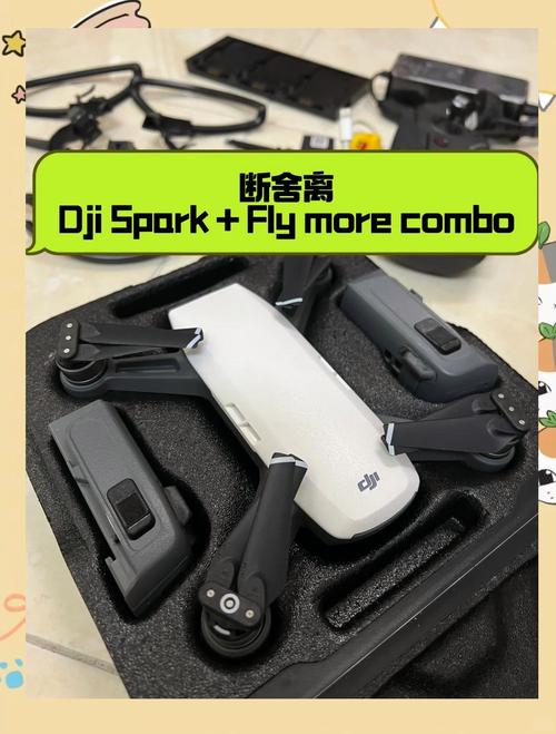 加拿大Spark无人机法律有何新规定?-图1 加拿大Spark无人机法律有何新规定?-图1