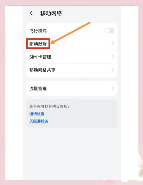 4G手机如何手动开启2G网络?-图1 4G手机如何手动开启2G网络?-图1