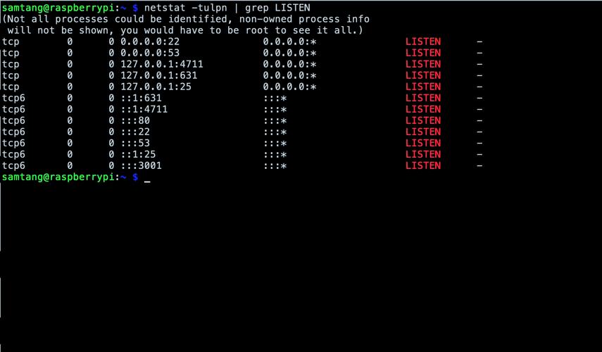 Linux如何查看进程的网络连接?-图1 Linux如何查看进程的网络连接?-图1