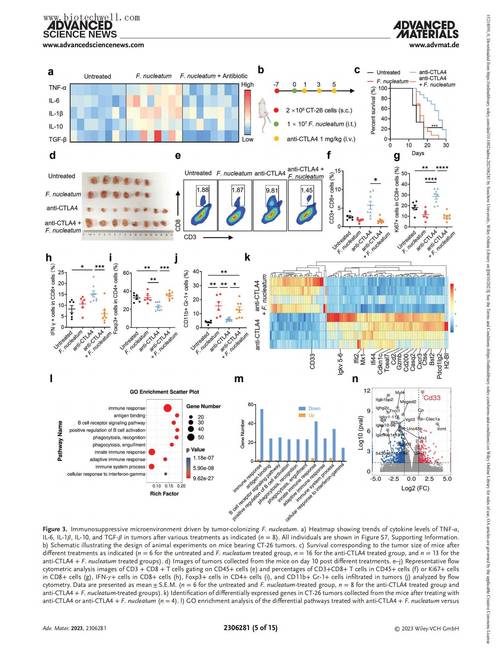 ngago基因编辑技术的优势与应用前景如何？-图3
