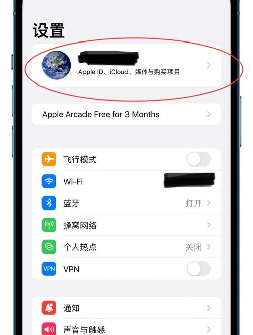 iPhone4s网络设置怎么连？-图3
