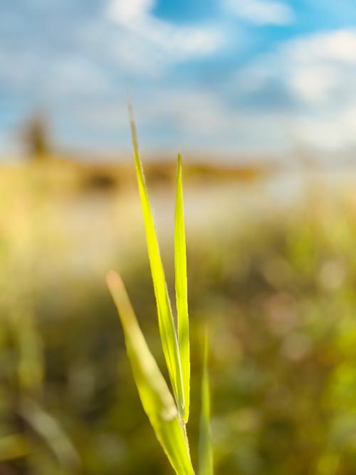 minidrone无人机小巧便携，性能如何？-图3