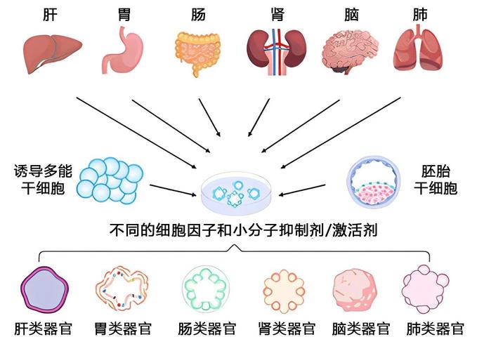 Clever Color技术如何实现色彩智能优化?-图1 Clever Color技术如何实现色彩智能优化?-图1