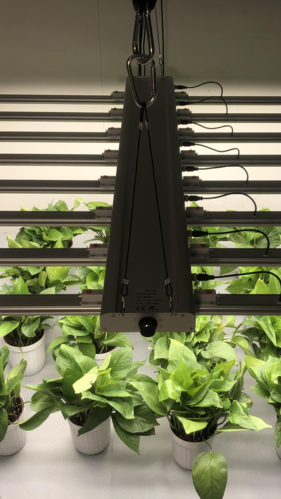 Lightspeed无线技术如何实现低延迟高稳定？-图3