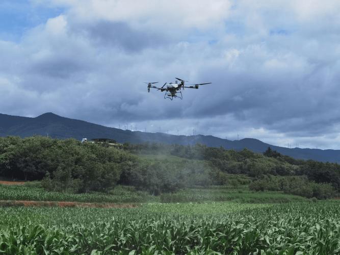 无人机打高杆玉米怎么操作？-图2