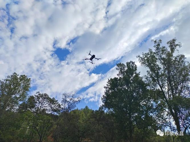 无人机森林防火,为何如此必要?-图3 无人机森林防火,为何如此必要?-图3