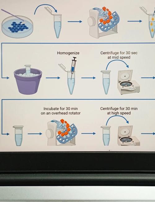 Couchbase技术原理核心是什么？-图2