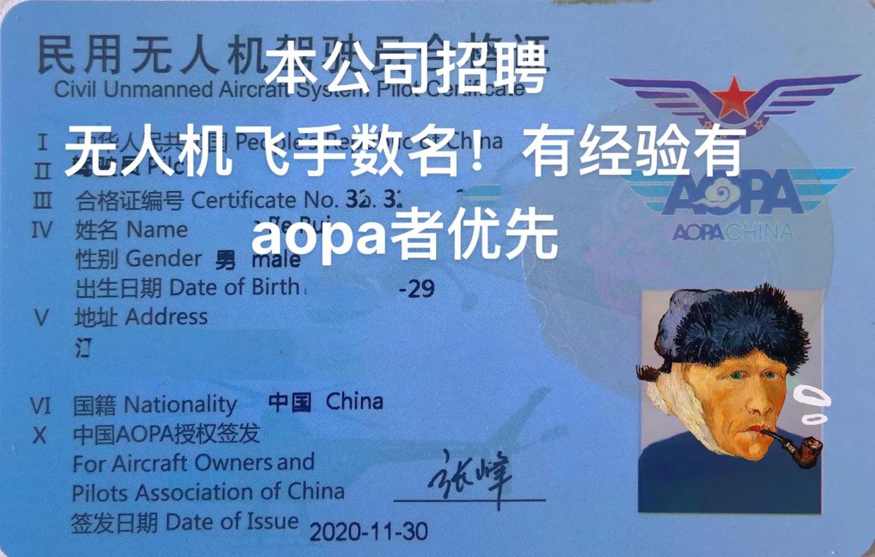 南京无人机电力巡检招聘有何要求？-图2