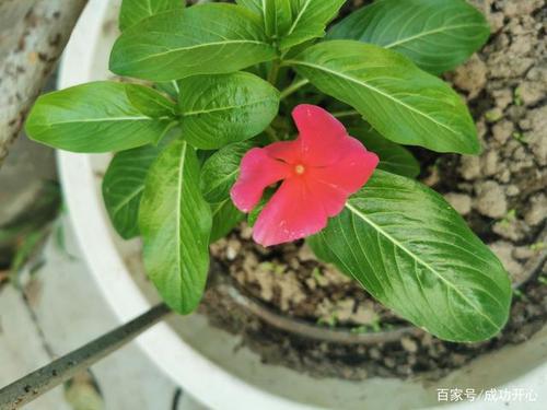 网络连接为何比平时慢这么多?-图2 网络连接为何比平时慢这么多?-图2