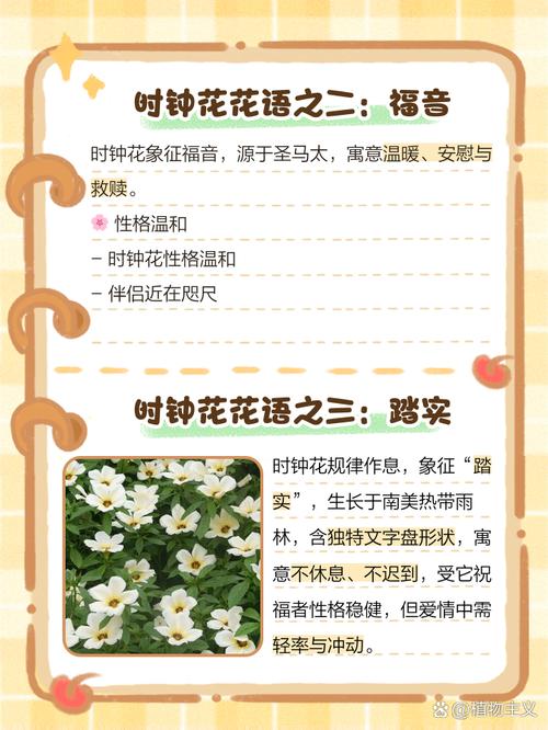 网络连接为何比平时慢这么多?-图1 网络连接为何比平时慢这么多?-图1