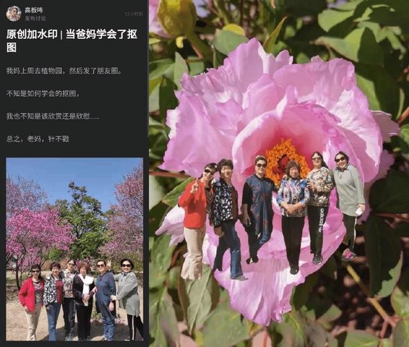 网络连接为何比平时慢这么多?-图3 网络连接为何比平时慢这么多?-图3