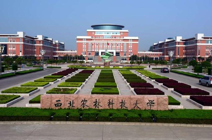 西北农林科大网络教学平台效果如何?-图1 西北农林科大网络教学平台效果如何?-图1