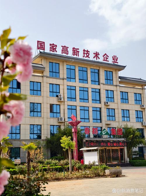 北京高阳金信信息技术有限公司做什么的？-图1