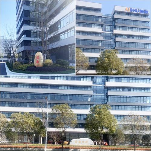 上海爱数信息技术是做什么的？-图1