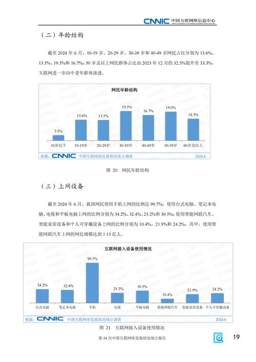 中国互联网络发展状况如何?-图1 中国互联网络发展状况如何?-图1