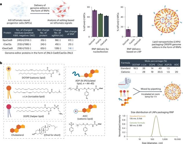 CRISPR技术风险何在？基因编辑隐患几何？-图2