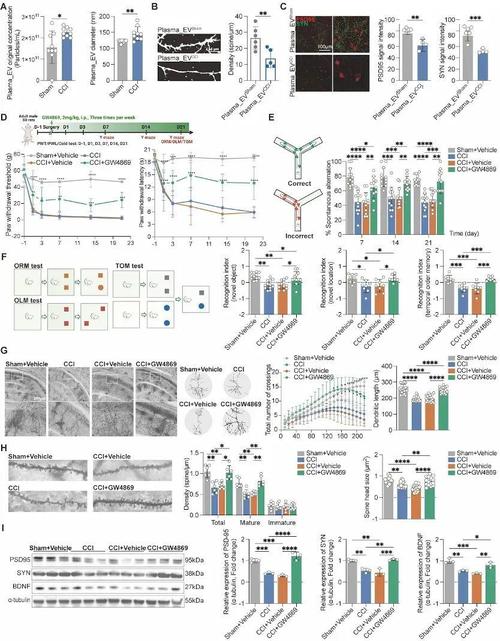 20m Isocell技术如何突破手机影像极限?-图3 20m Isocell技术如何突破手机影像极限?-图3