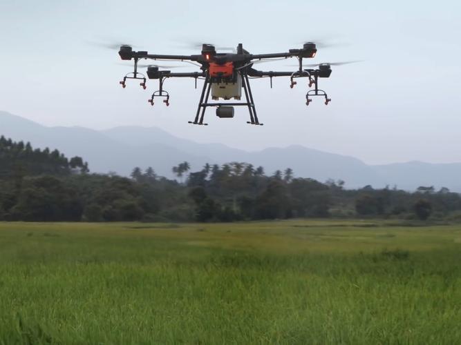 深圳大疆无人机喷农药效果如何？-图2