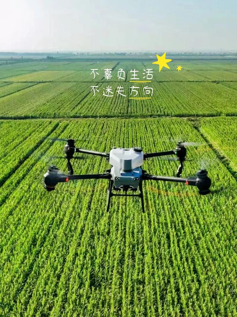 深圳大疆无人机喷农药效果如何?-图3 深圳大疆无人机喷农药效果如何?-图3