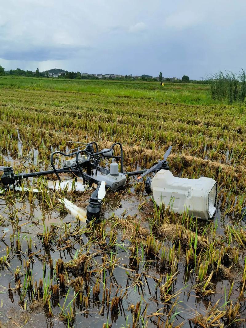 植保无人机理想丰满，现实如何落地？-图2