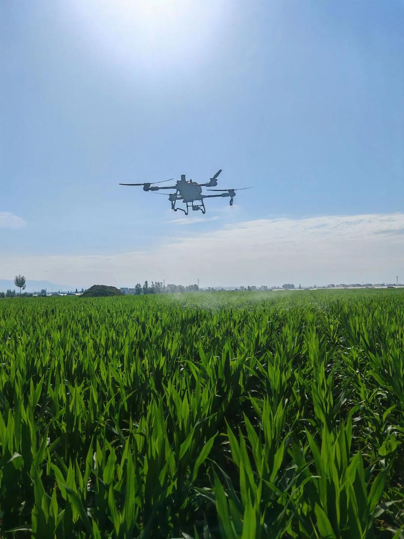 植保无人机理想丰满，现实如何落地？-图3