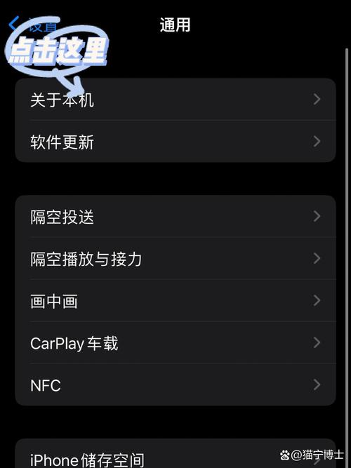 苹果6如何开启4G网络设置？-图3