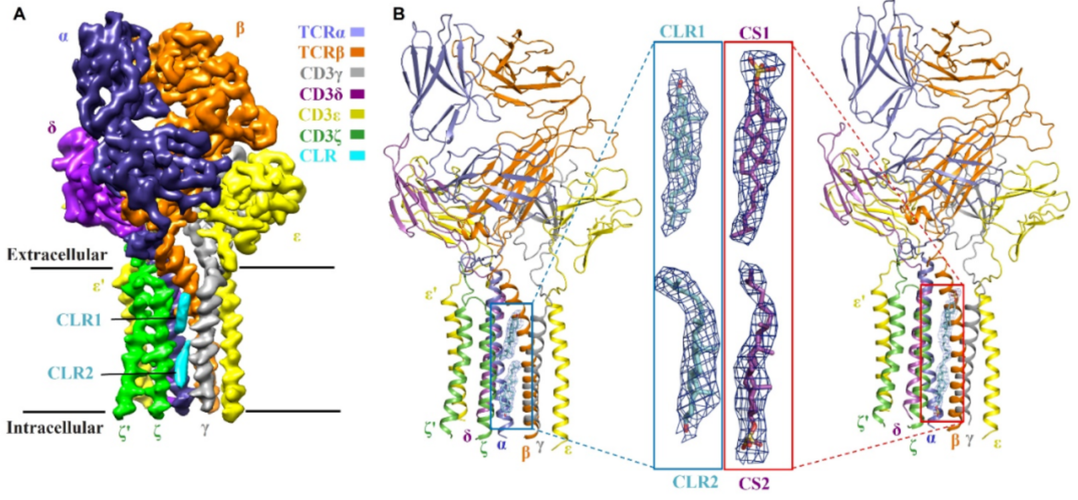 Isocell像素隔离技术有何优势?-图1 Isocell像素隔离技术有何优势?-图1