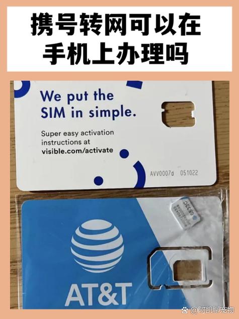 如何插入SIM卡访问网络服务？-图1