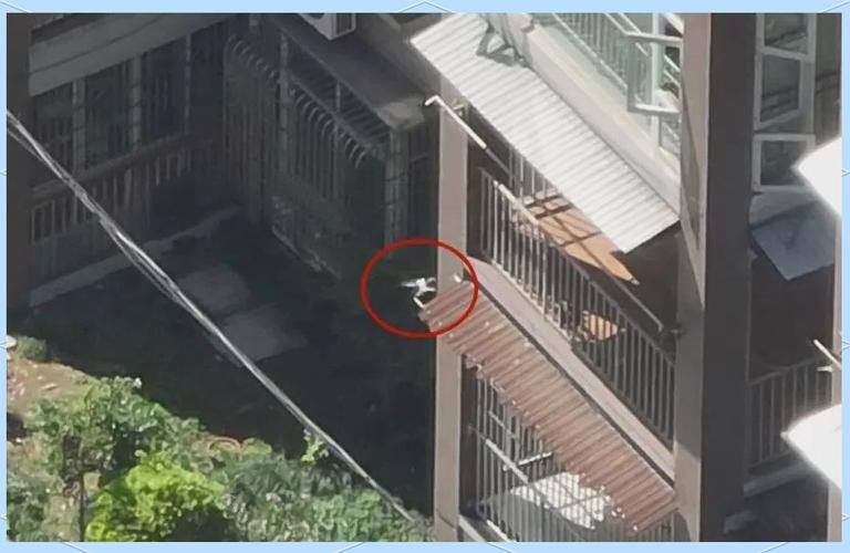 双流机场为何频遭无人机黑飞?-图3 双流机场为何频遭无人机黑飞?-图3