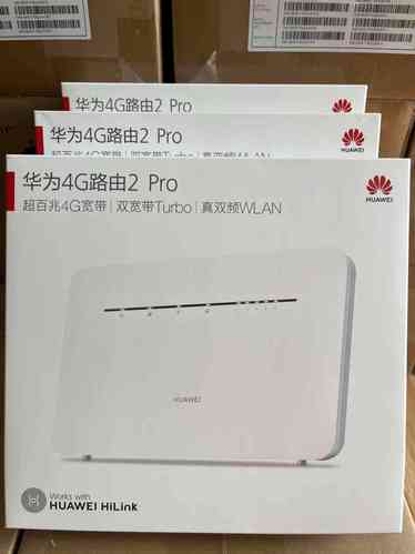 苹果5s如何开启4G网络？-图3