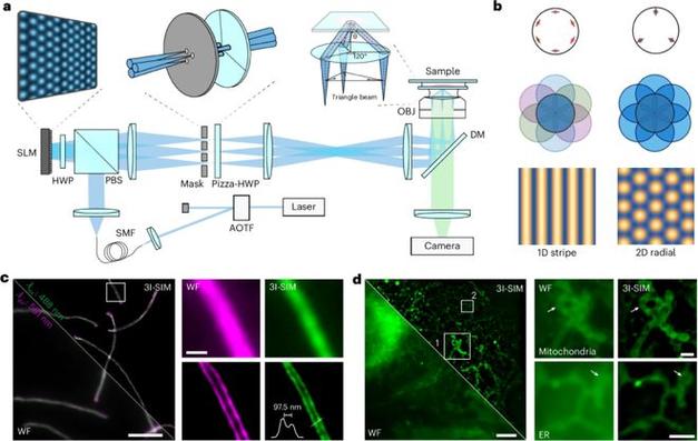 enlighten光照技术如何革新视觉体验？-图2