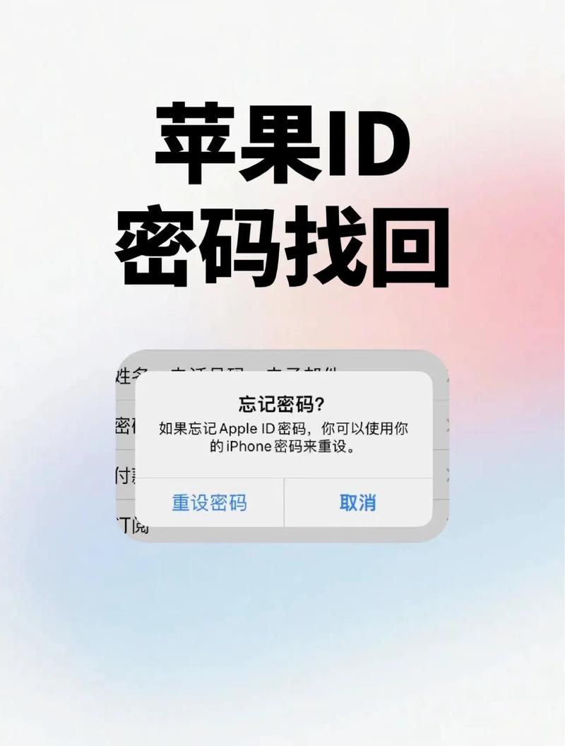 网络用户名和密码丢了怎么办-图1
