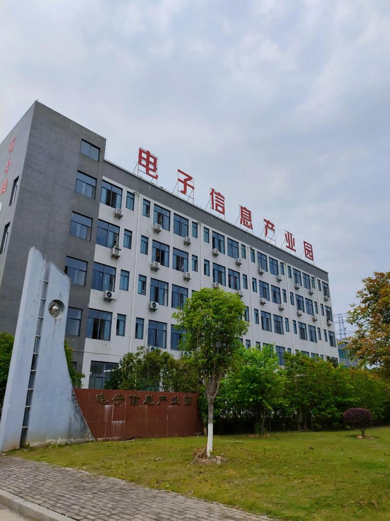 湖南新视电子技术有限公司是做什么的？-图2